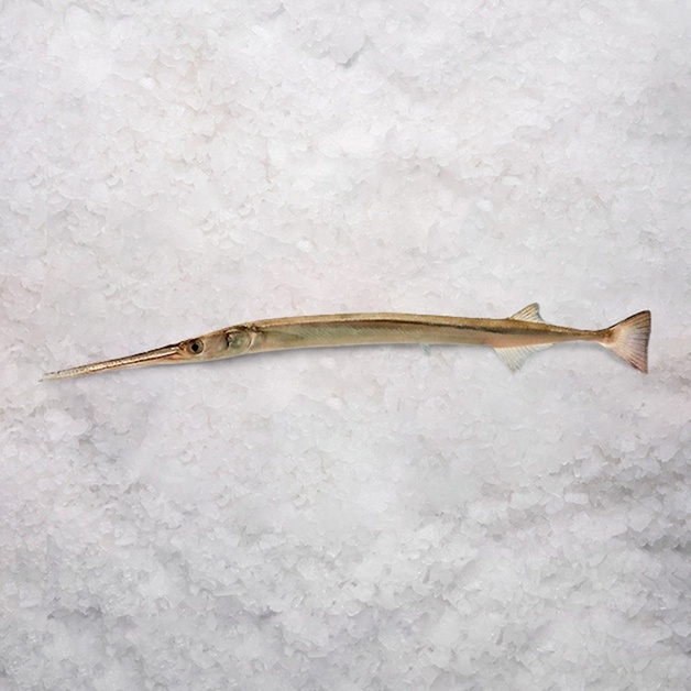 Рыба-Игла Крокодиловая Целая Непотрошеная Свежемороженая 100+