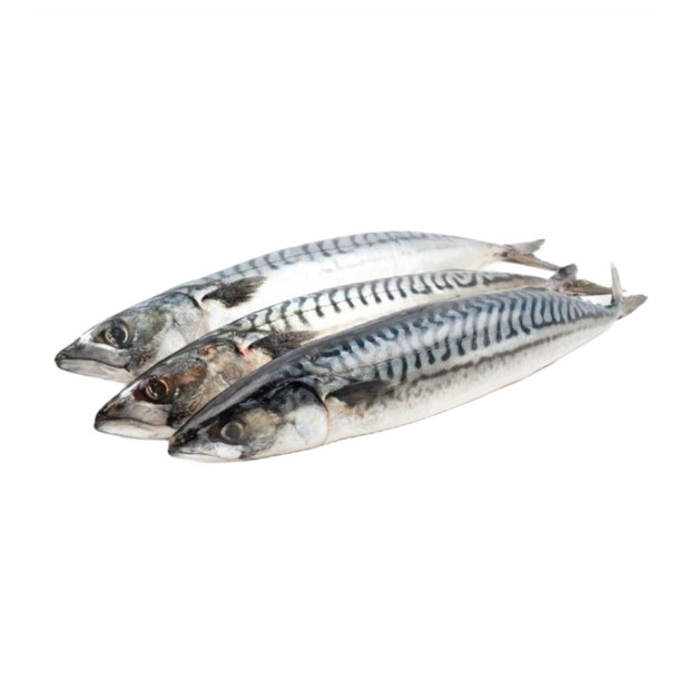 Скумбрия Атлантическая Неразделанная Штучной Заморозки 5кг