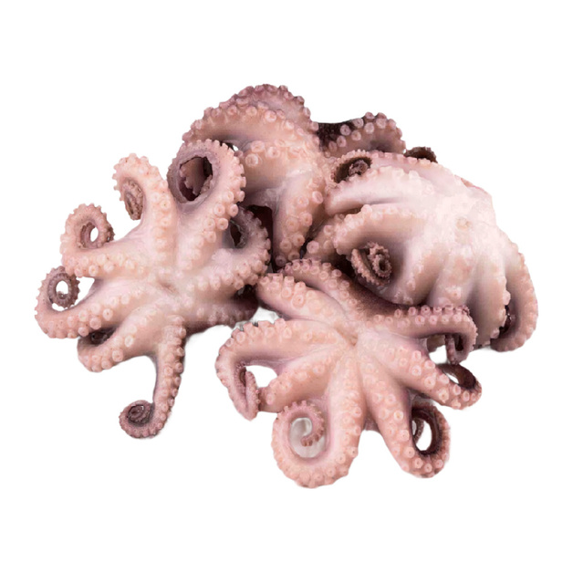 Осьминоги Молодые Целые Очищенные Свежемороженые Вьетнам 40/60