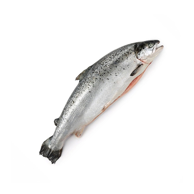 Лосось с/м Потрошеная с/г 7-8 кг