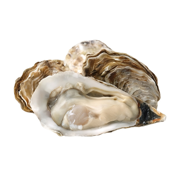 Устрица Ямакаси 60-80г