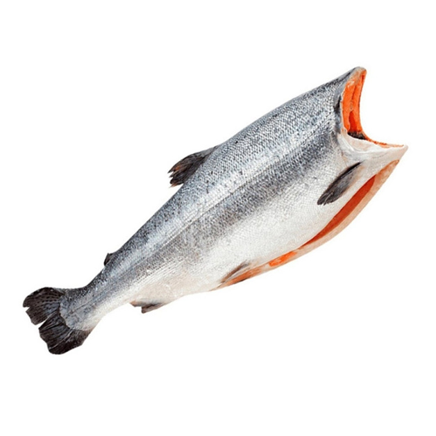 Кижуч с/м б/г 1,6-1,8 кг потр (блочн зам) Витязь Авто ~ 20 кг ПР-ВО