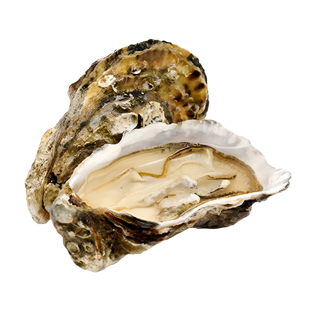 Устрица Чёрный Жемчуг 115-125г