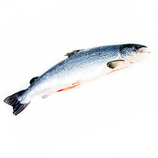 Лосось ~ 8-9 кг с/м с/г потр. фас.Чили