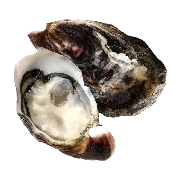 Устрица Онюдзима