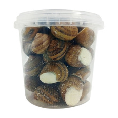 Улитки Эскарго со Сливочным Сыром и Сыром Пармезан 36шт