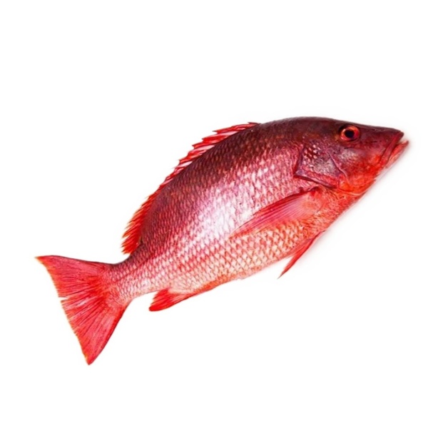 Снэппер Красный Непотрошеный Охлажденный 5кг