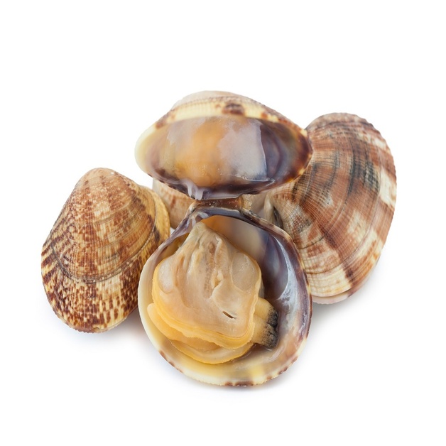 Вонголе клемы в раковине в/м 41/50 зам ~ 0,5  кг