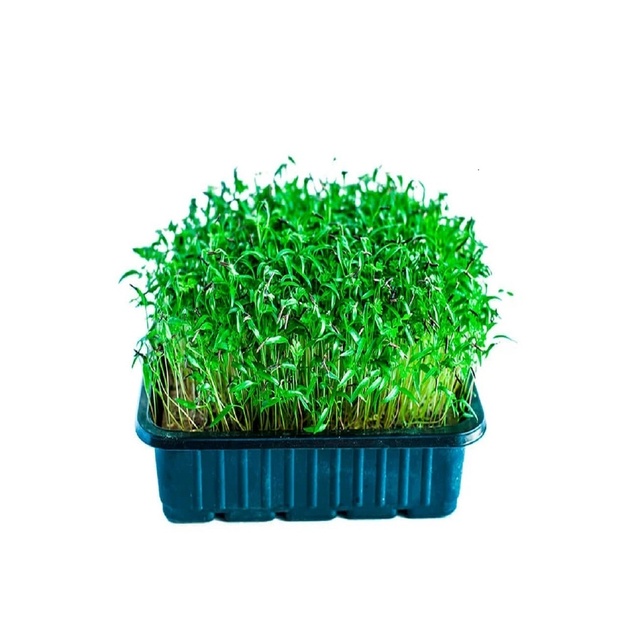 Микрозелень кервель растущ. 20-80г