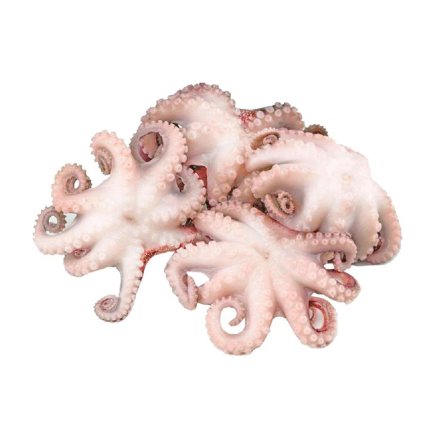 Осьминоги Молодые Целые Очищенные Свежемороженые 40/60