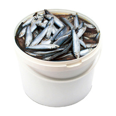 Килька Рыбное Дело Слабосоленая в Пряной Заливке 4кг