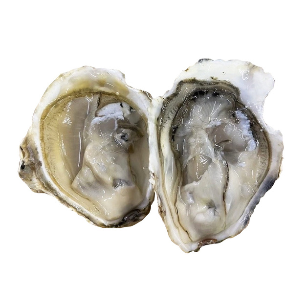 Устрица Маака 50-75г