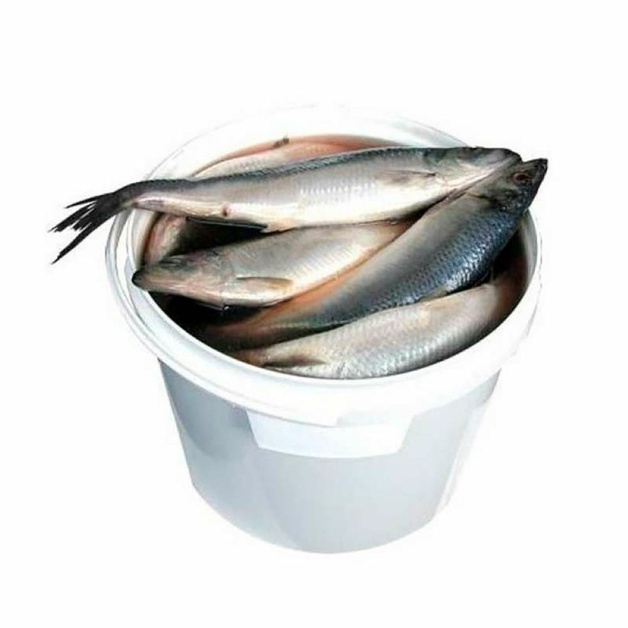 Сельдь Рыбное Дело Тихоокеанская Слабосоленая 10кг