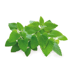 Мята вес. - кг