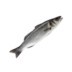 Сибас Непотрошеный Охлажденный 0,8-1кг