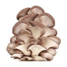 Грибы Вешенки 300г*