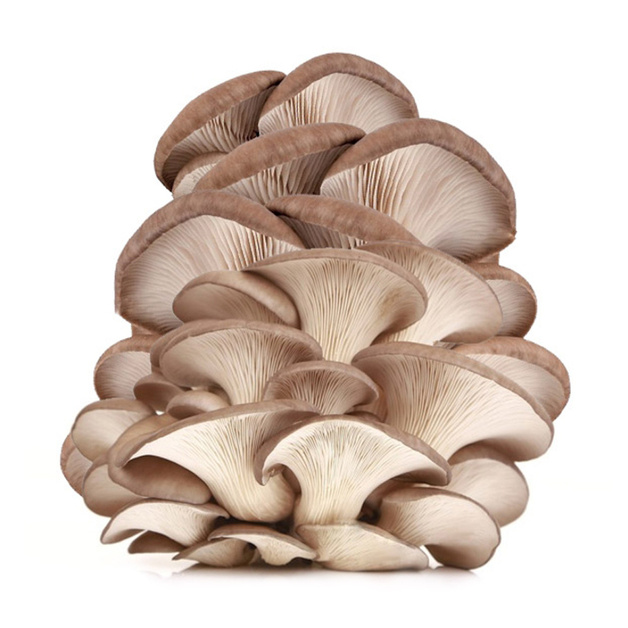 Грибы Вешенки 300г*