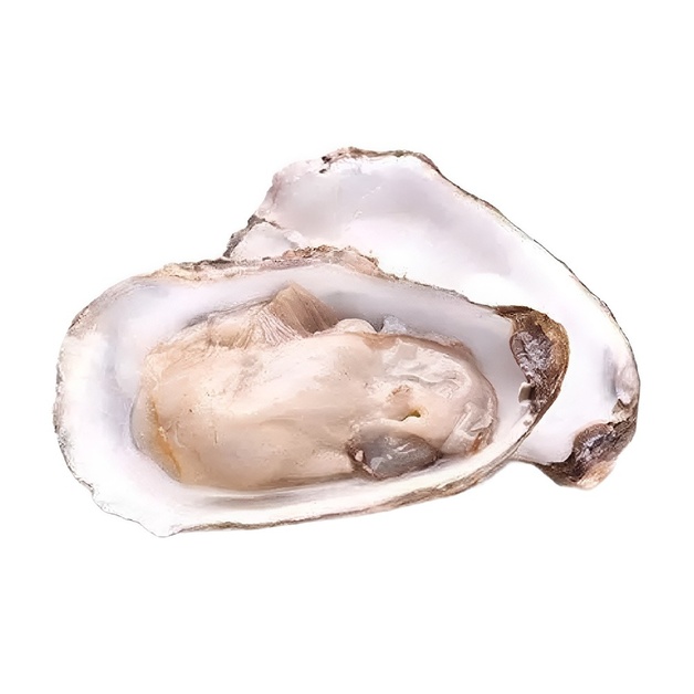 Устрица Dibba Bay №3