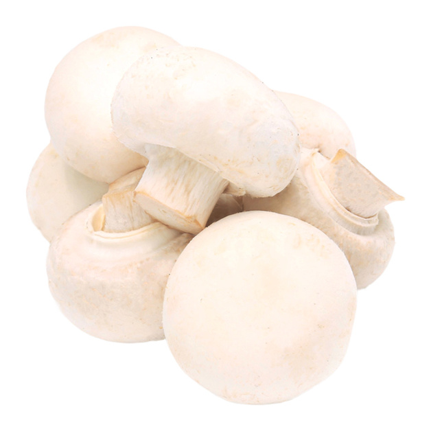 Грибы Шампиньоны