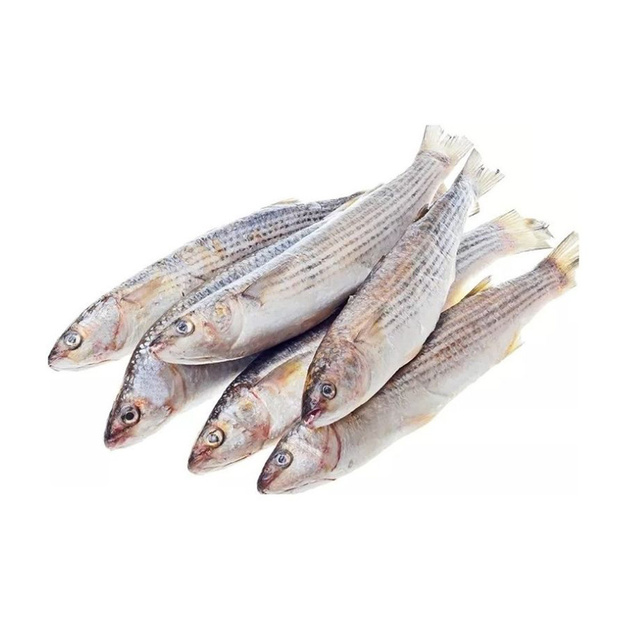 Кефаль Азовская Неразделанная Замороженная