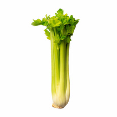 Сельдерей Черешковый Стебель*