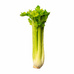 Сельдерей Черешковый Стебель*
