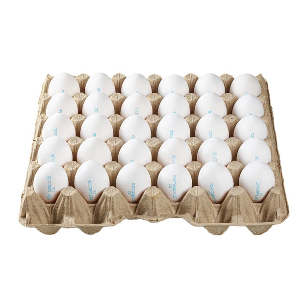 Яйцо Куриное Моргаушская ПФ Белое С1 360шт