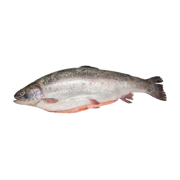 Форель Радужная с Головой с/м Турция 500-900г