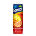 Нектар Santal Мультифруктовый 1л