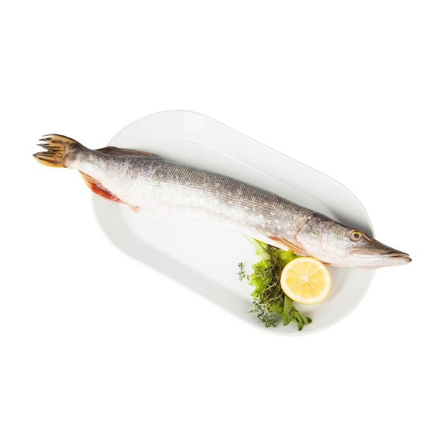 Щука Охлажденная