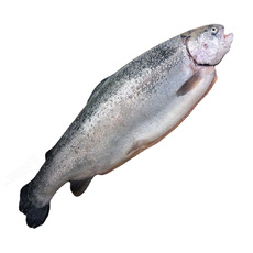Форель Радужная с Головой Свежемороженая Турция 300-350г