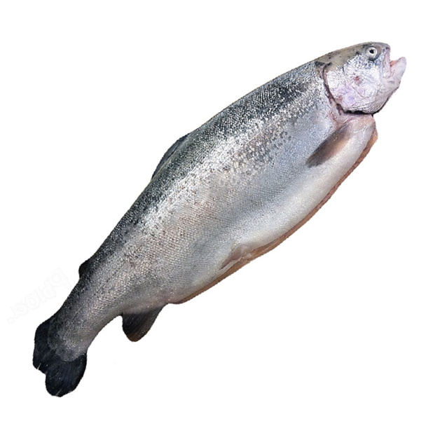 Форель Радужная с Головой Свежемороженая Турция 300-350г