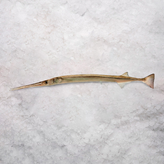 Рыба-Игла Крокодиловая Целая Непотрошеная Свежемороженая 100+ 20кг