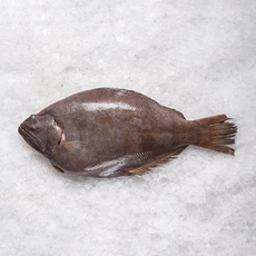 Тюрбо Целая Непотрошеная Сыромороженая 1-2кг