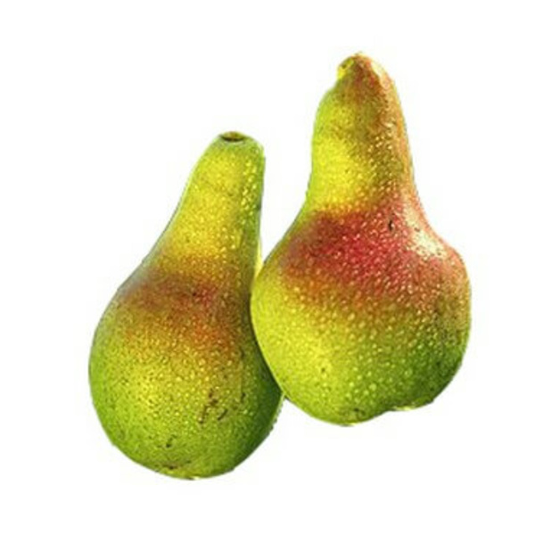 Груша сезонная кг