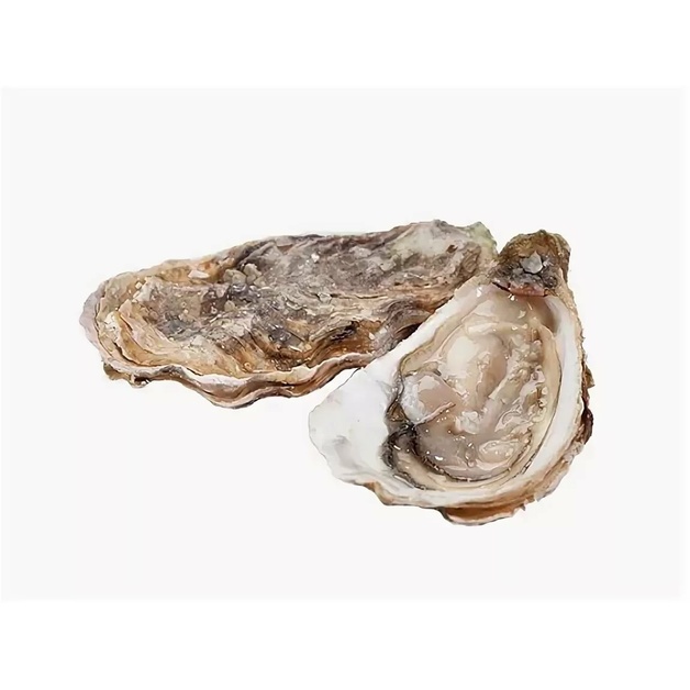 Устрицы Императорские 100-200