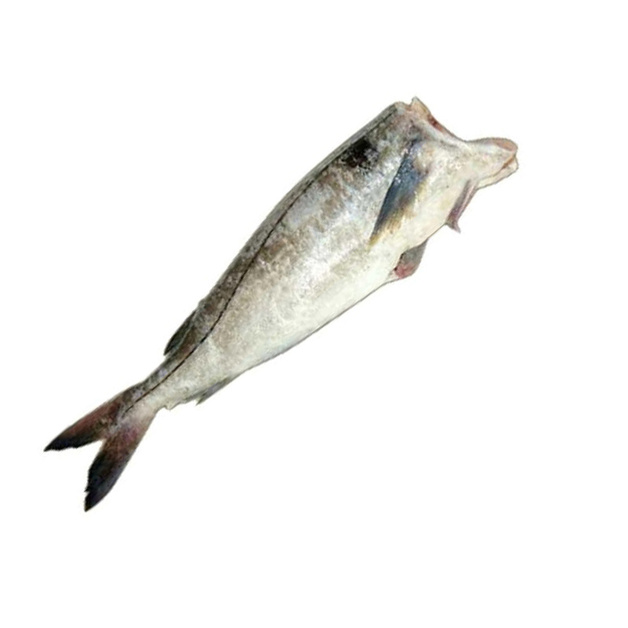 Пикша Потрошенная без Головы Замороженная 200-500гр 30кг