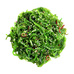 Салат из водорослей Чука ~ 0,5 - 1 кг
