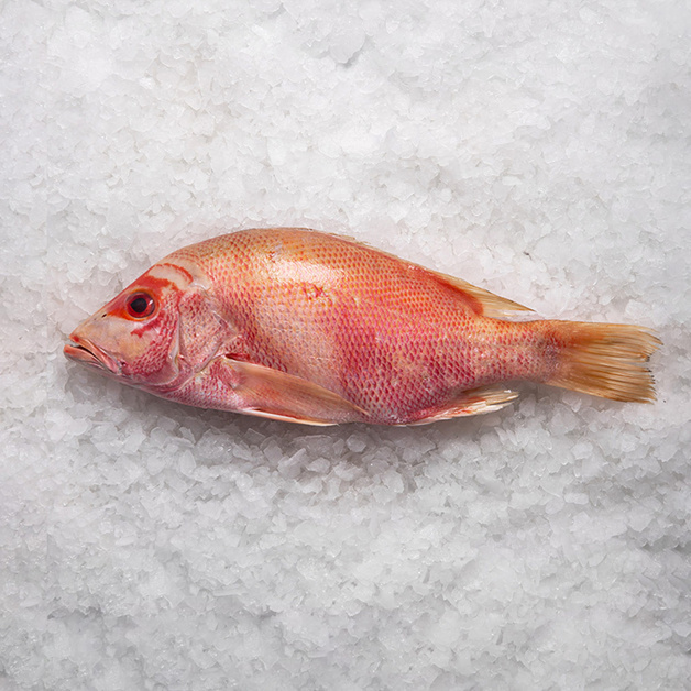 Луциан Красный Непотрошеный Свежемороженый 2-4кг