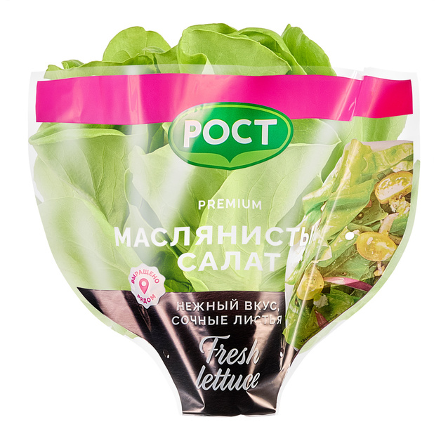 Салат Маслянистый Зеленый в Горшочке