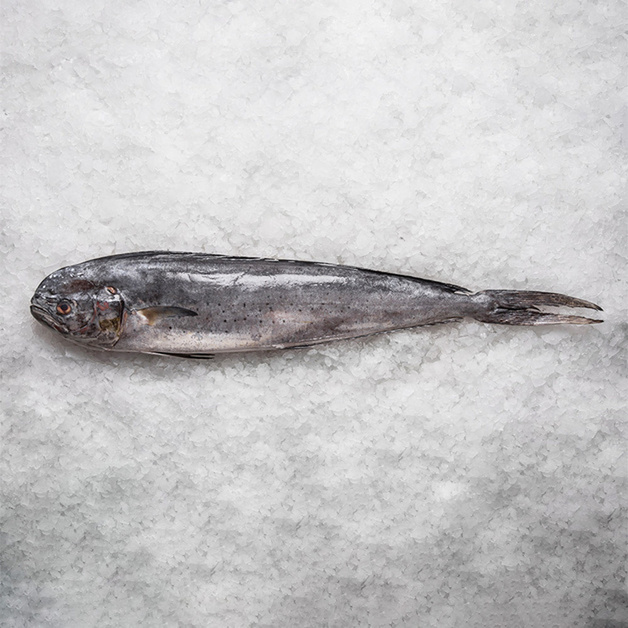 Махи-Махи Непотрошеная Свежемороженая 2-4кг