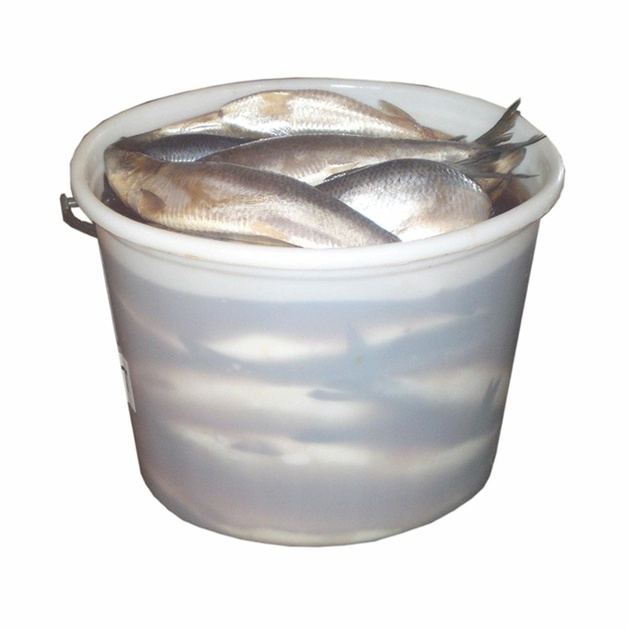 Сельдь Атлантическая Слабосоленая с Повреждениями