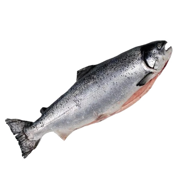 Лосось потрошёный с головой охл. «Inarctica» (Мурманск) ~ 7-8 кг