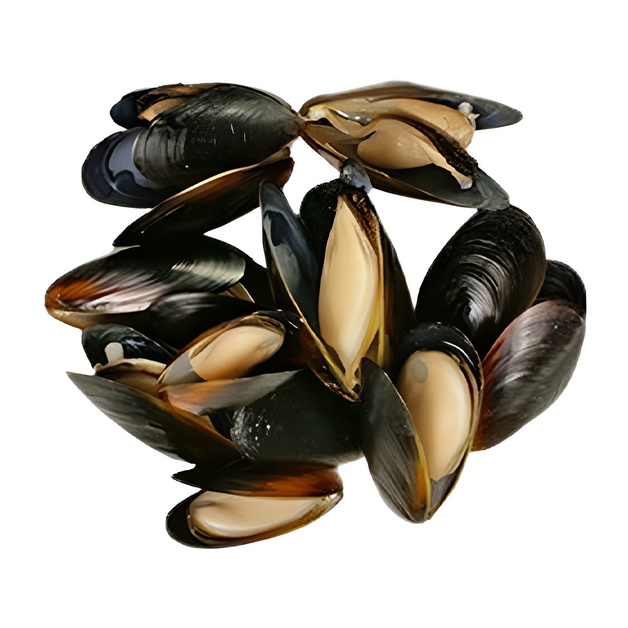 Мидии в Целой Раковине Варено-Мороженые Чили 40/60 1кг