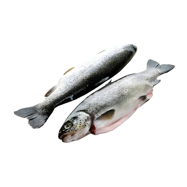 Форель Рвдужная Потрошеная с Головой Свежемороженая 300-500г