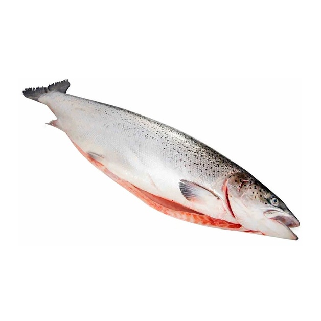 Лосось Потрошеный с Головой Comercial Y Servicios Austral Limita Чили с/м 5-6кг