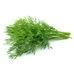 Укроп свежий - кг