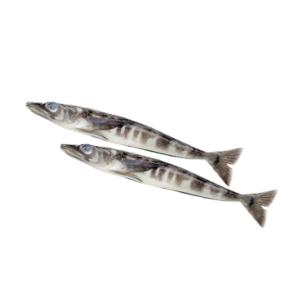 Ледяная Замороженная Китай 250+ 5кг