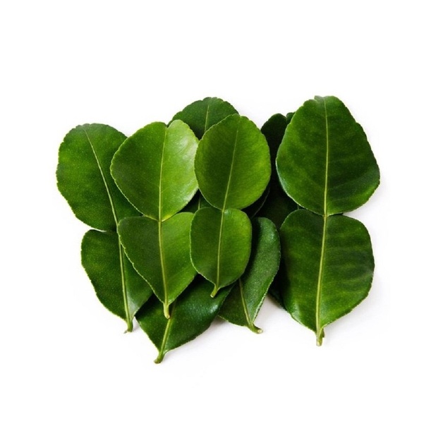 Лист Лайма Свежий