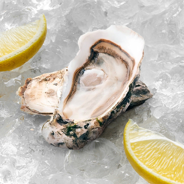 Устрица Крымская 60-80г